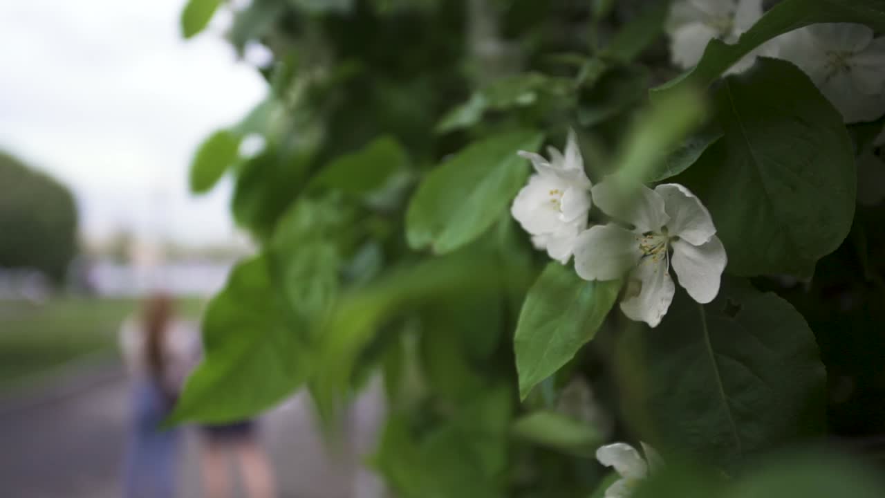 은 날 공원에서 고 있는 두 여인