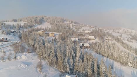 House-Structures-And-Pine-Trees-Capped-With-Snow-In-Zakopane,-South-Poland