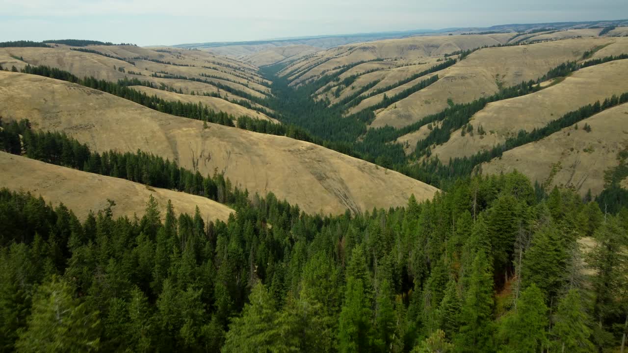 US, Oregon, Meacham, 2025-08-03 - Drone view of an Overlook in the mountains