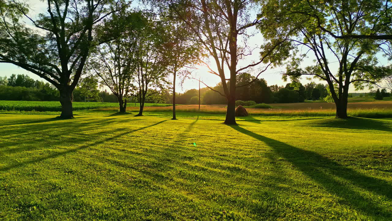Golden Hour Light and Long Shadows on a Grassy Lawn with Trees