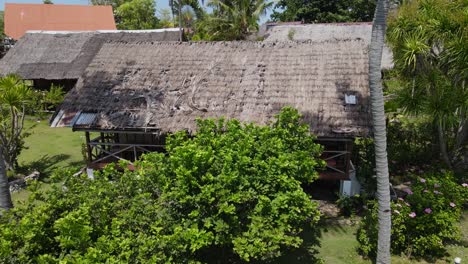 thatched-roof tropical hut surrounded by lush greenery on cebu island