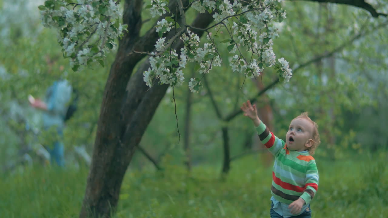 그는 이 아름다운 꽃을 얻고 싶어합니다.