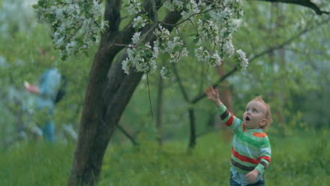 He-wants-to-get-these-beautiful-flowers