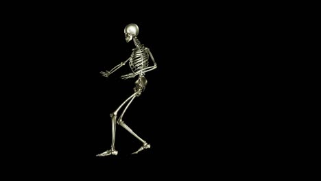 skeleton dancing. seamless loop animation on black background, salsa, ghost character, dancing skull, video with luma matte, 3d render