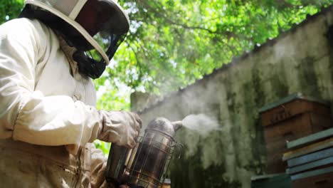 beekeeper smoking the beehive using a hive smoker