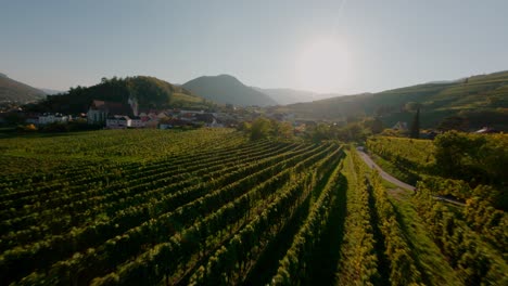 Descendiendo-Rápidamente-Las-Colinas-Del-Valle-De-Wachau-Revelando-Una-Vista-Increíble-Del-Spitz-De-La-Ciudad,-Mostrando-Los-Increíbles-Colores-Otoñales-Iluminados-Por-Una-Hermosa-Puesta-De-Sol