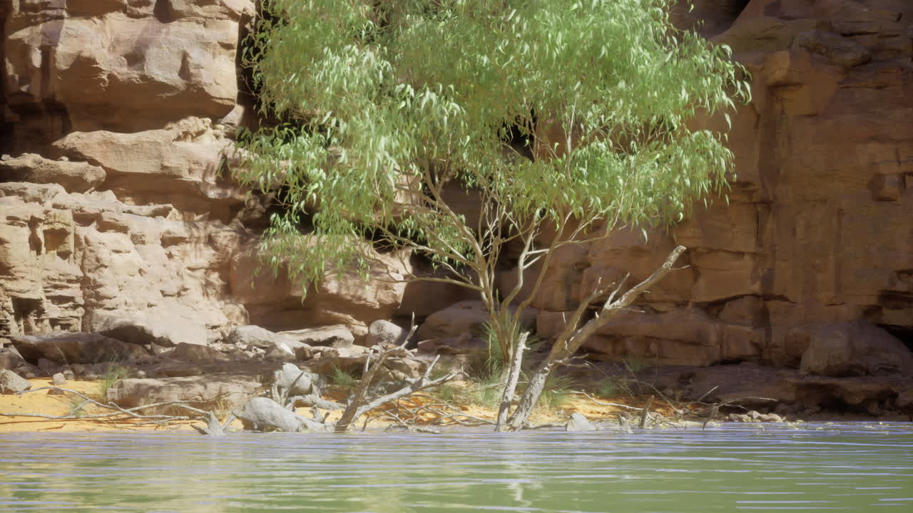 Scenic view of a tree by the calm water at a rocky landscape