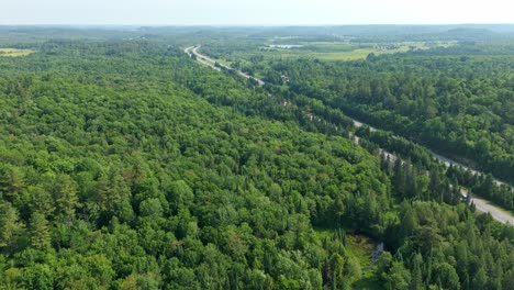 drone flyover of highway 11 in muskoka with surrounding green forest