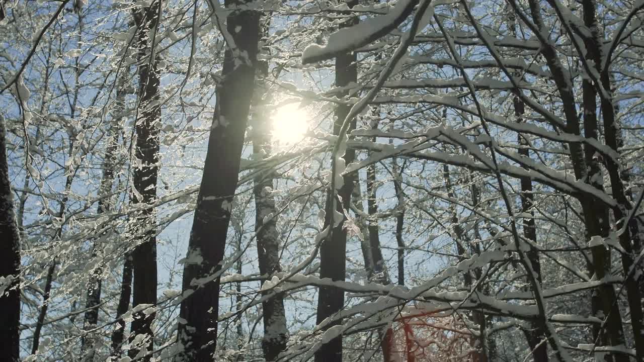 크리스마스 분위기 마녀 마법 겨울 외모