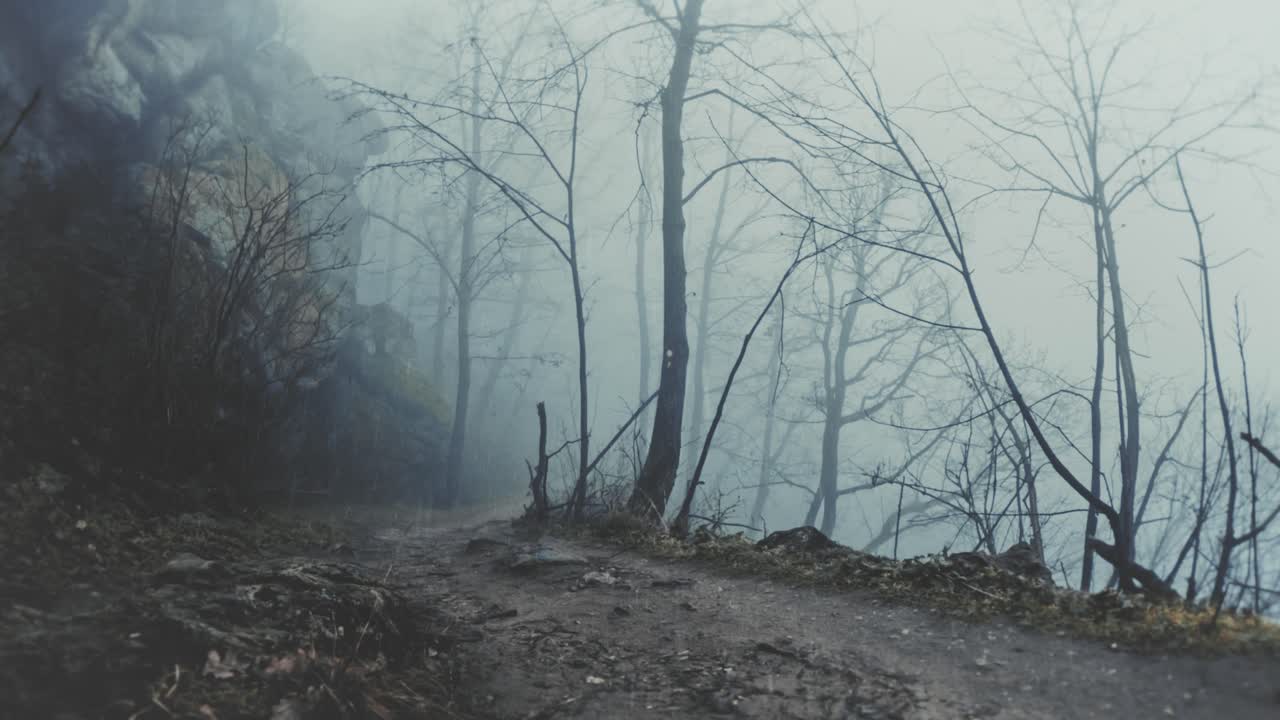 POV cinematografico che attraversa una fitta foresta durante una forte pioggia. Paesaggio suggestivo con gocce di pioggia che cadono, fitta nebbia e alberi spogli invernali, ideale per una narrazione ricca di atmosfera