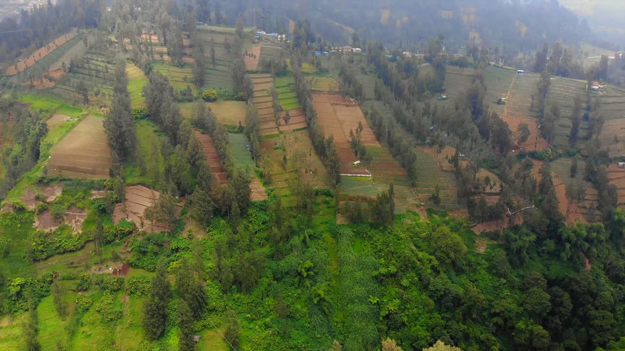 브로모 산 주변의 멋진 공중 영상 - 안개가 자욱한 구름