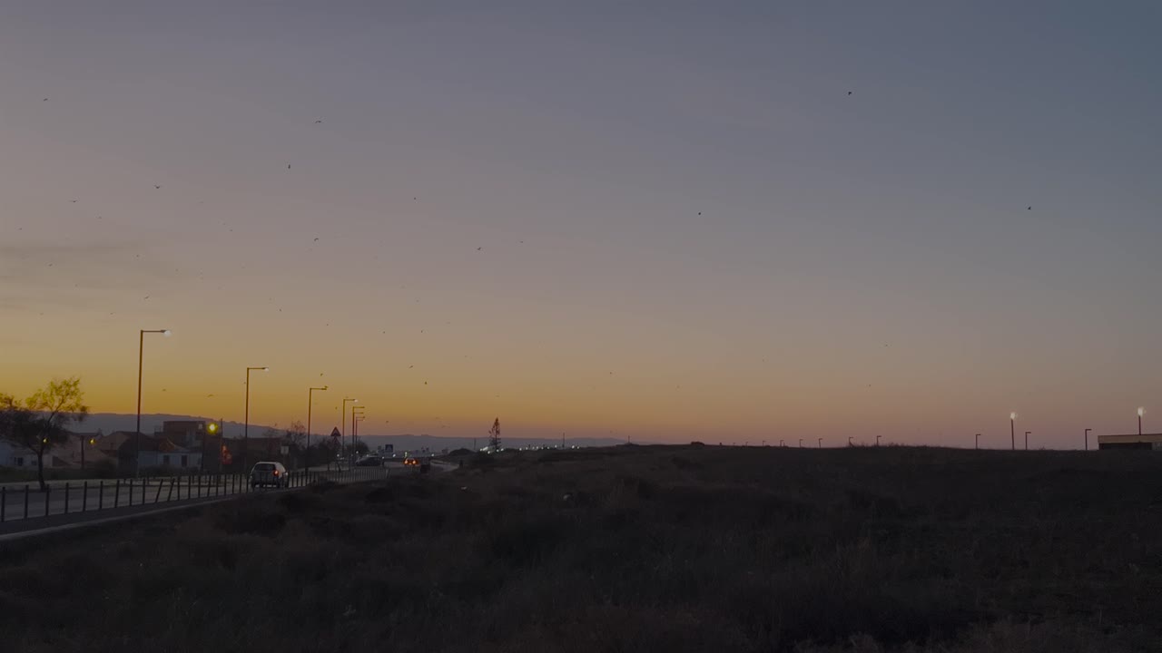 가로등으로 둘러싸인 도로를 따라 움직이는 자동차와 함께 해가 지는 장면의 풍경. 평온한 분위기는 사라지는 빛에 의해 강화되어 도시와 자연 요소를 혼합합니다.