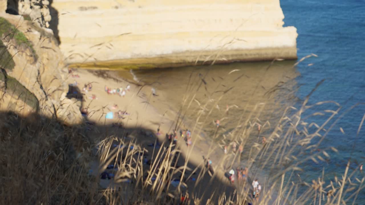 фокусный снимок, сухая трава, развевающаяся у обрыва, живописный вид на людей на берегу, загорающих в алгарве-португалия, солнечный день на заднем плане