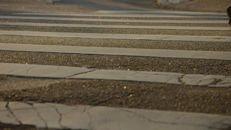 Fußgänger,-Die-Die-Straße-Am-Zebrastreifen-Unter-Dem-Goldenen-Licht-Des-Sonnenuntergangs-überqueren,-Gefilmt-In-Zeitlupe-In-4k-High-Definition