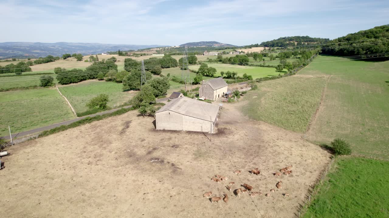 Allevamento di bestiame con animali ed edifici in Francia, vista aerea orbitale.