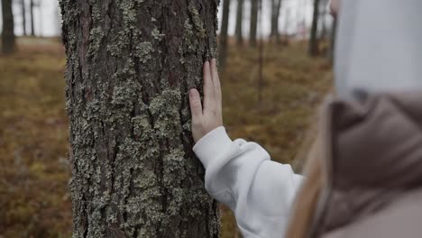 hand of woman touching a tree covered with moss, beauty in nature