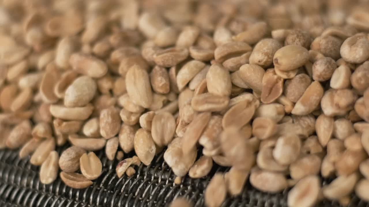 Roasting peanuts. Sorting operations in nuts factory. Roasted peanut packaging production line