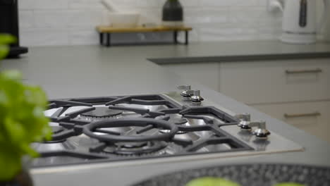 Gas-cook-top-and-oven-close-up-white-kitchen-cabinetry-stone-benchtop-green-apples-styled-kitchen