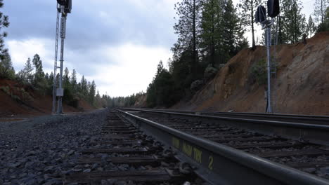 empty train tracks through the northern california forests