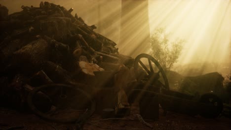 preparation of firewood for the winter in forest at sunset