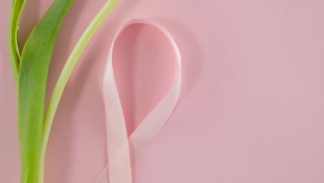 Animation-of-pink-ribbon-and-tulip-on-pink-background