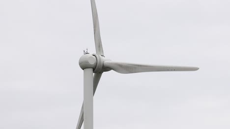 wind turbine blades rotating in dunkeld, scotland