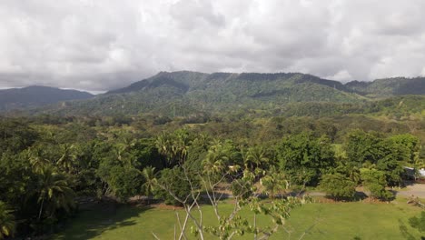 exuberante y densa selva tropical cerca de playa linda en la pintoresca costa del pacífico central de costa rica