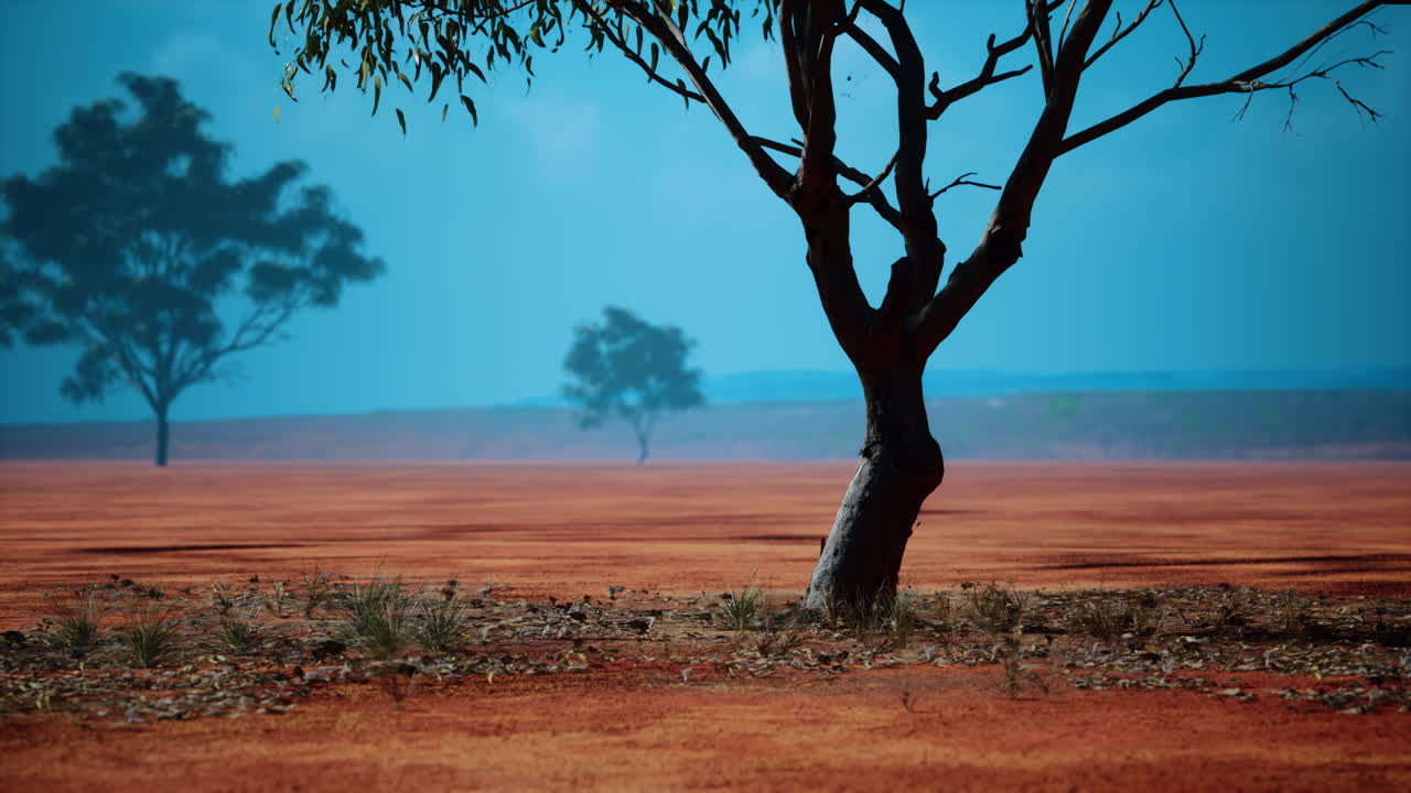 paisaje de sabana africana con árboles de acacia