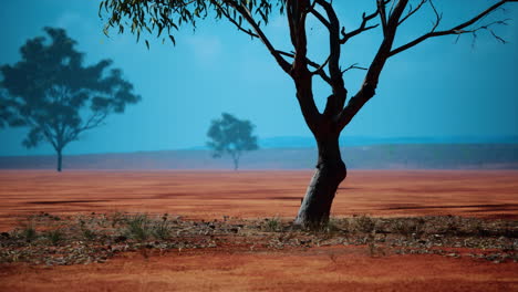 Paisaje-De-Sabana-Africana-Con-árboles-De-Acacia