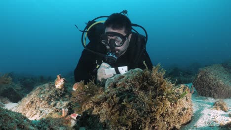 marine scientist observes a deep ocean reef system while recording data on an underwater slate