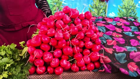 Fresh-harvested-beetroots-in-wooden-crate,-pile-of-homegrown-organic-beets-with-leaves-on-soil-background