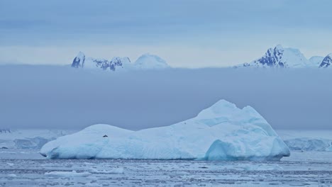 Paisaje-Antártico-De-Icebergs-Y-Hielo-En-La-Península-Antártica-En-Un-Vasto-Y-Espectacular-Paisaje,-Hermoso-Paisaje-Marino-Con-Grandes-Formas-Inusuales-En-Una-Escena-Costera-Azul-De-Invierno