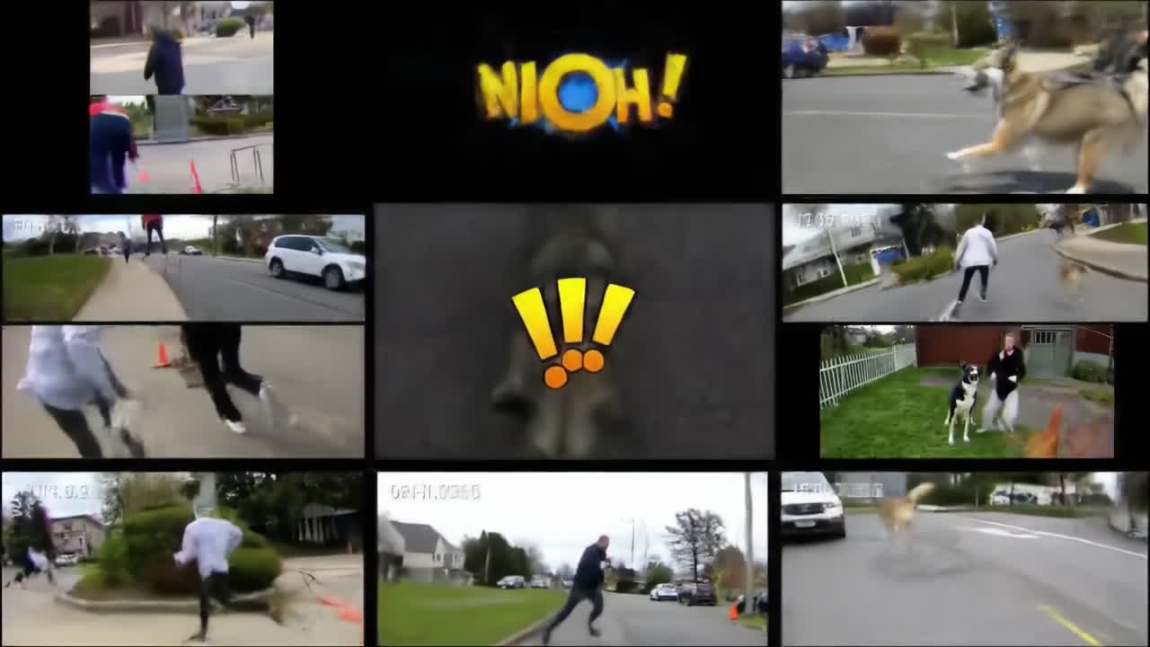 Groups engage in diverse training exercises with their dogs in a lively suburban area during the day, showcasing teamwork and playful interaction.