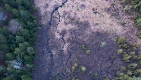 Drone-footage-of-a-wood-bog-in-Maine