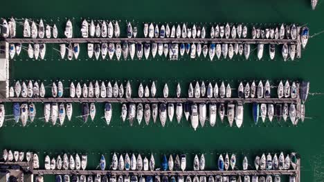 aerial top down view of sailboat yacht docked in parallel row in a harbor