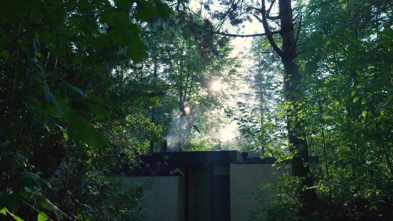 Building in the Forest with Sunlight Streaming Through the Trees