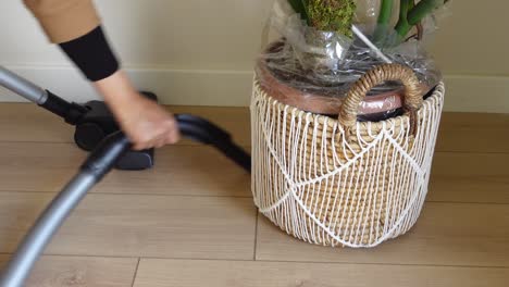 vacuuming around a plant in a room