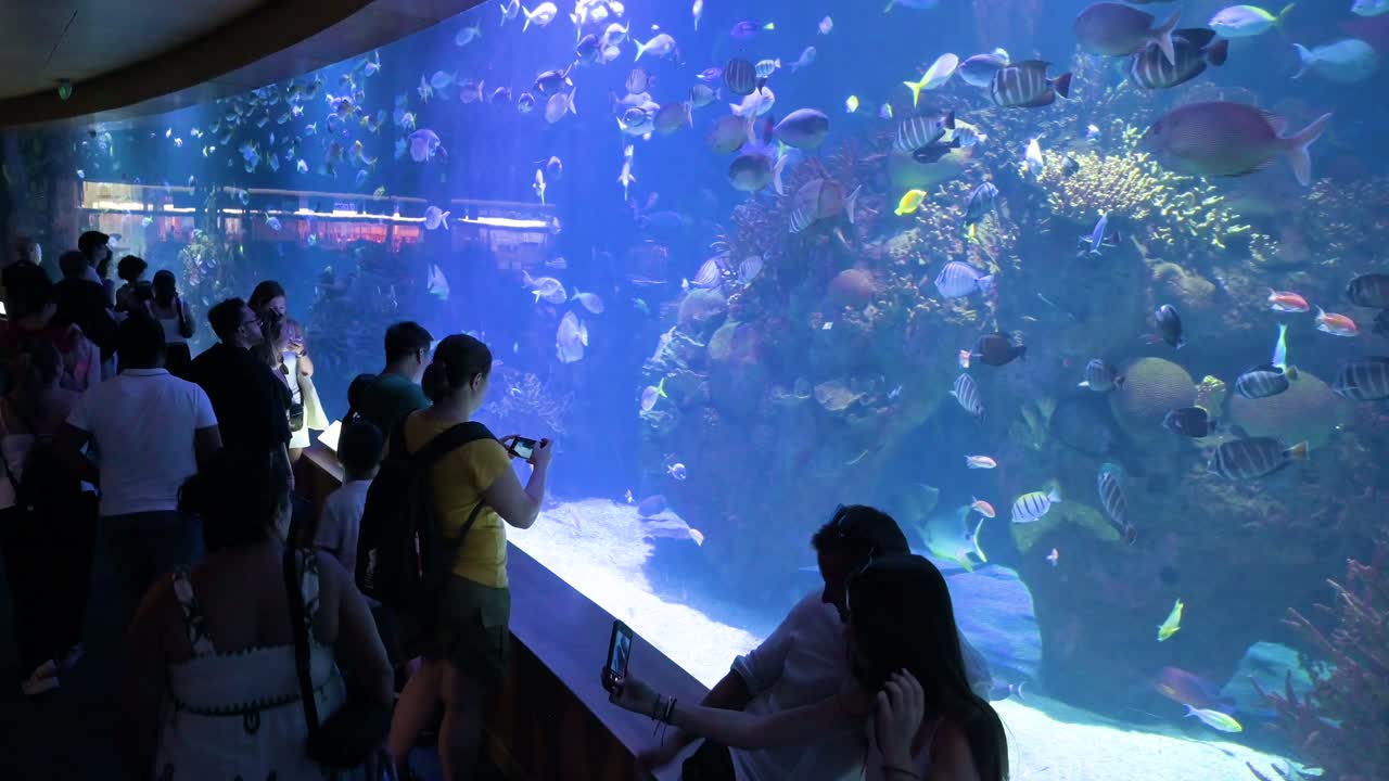 Visitors take photos in the crowded marine fish galleries at the Oceanografic in the City of Arts and Sciences in Valencia. It is Europe’s largest oceanographic park, featuring over 500 species.