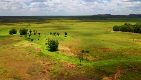 prados verdes vibrantes en el parque nacional de kakadu cerca de las formaciones rocosas de ubirr en el territorio del norte, australia