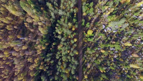 drone ascending above a narrow road in boreal forest