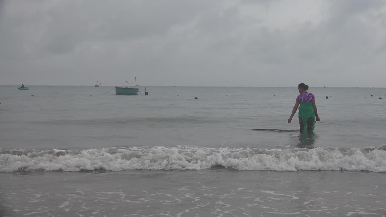 근해 어류 또는 근해 어류라고도 불리는 연안 어류는 해안선과 대륙붕 가장자리 사이의 바다에 서식합니다.