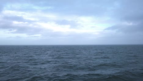 tourist filming a whale spout with a phone on a whaletour near iceland