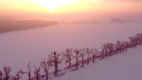 sunrise over a peaceful countryside covered in pristine snow