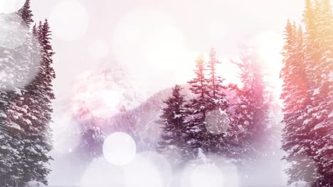 Animation-Von-Weißen-Lichtpunkten-Und-Weihnachtlicher,-Schneefallender-Winterlandschaft-Mit-Bäumen
