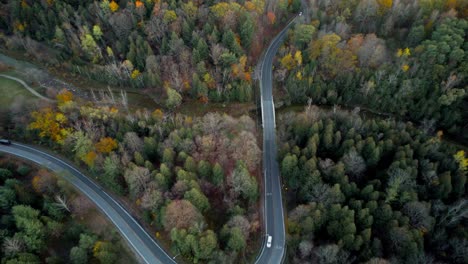 曲線公路空中景觀,車輛穿過秋季森林,<unk>樹和河流生態系統,紅色公園