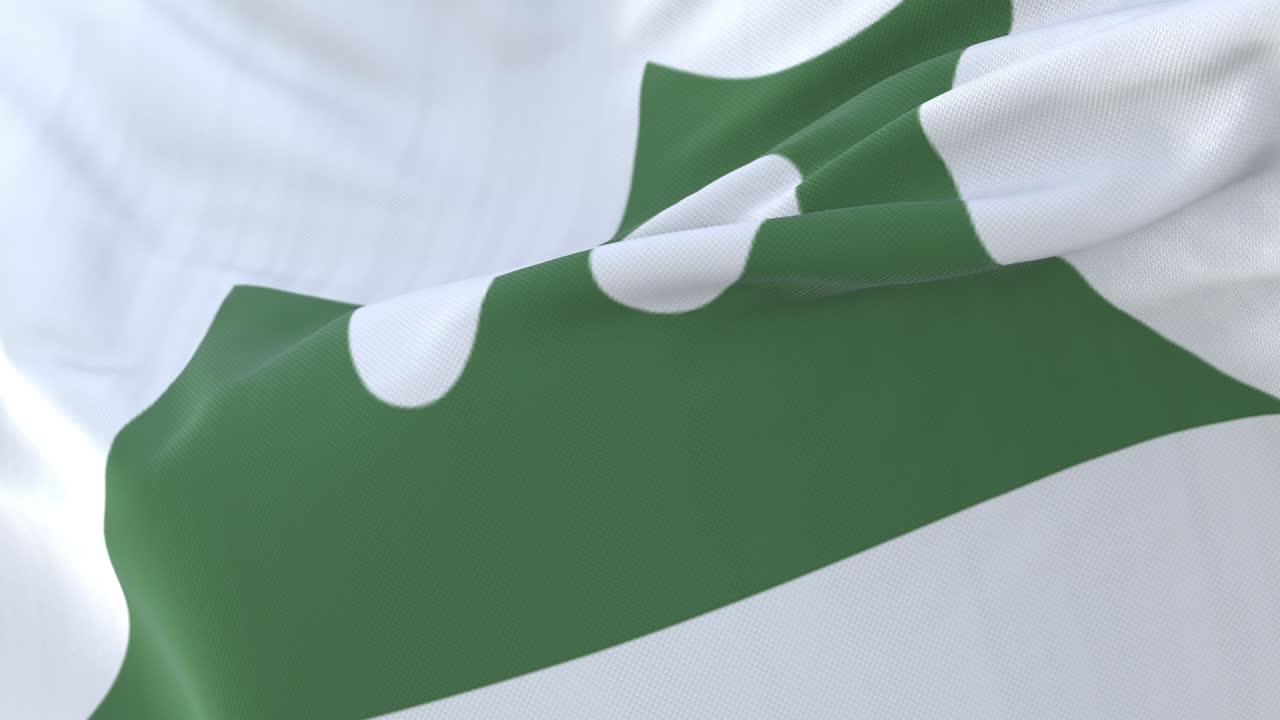 bandera de la capital japonesa y la ciudad de aomori, japón.