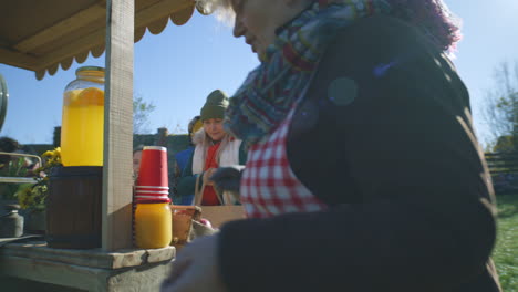 people shopping at autumn fair on weekend people walking shopping choosing fruits and vegetables at local farmers market autumn fair weekend activity vegetarian and organic food agriculture points of sale system woman with kids