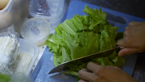 green leaf vegetables being chopped into large pieces on blue chopping board, filmed as close up slow motion shot