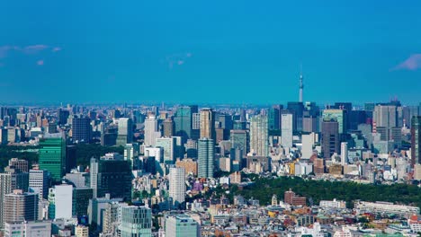 un time-lapse del paisaje urbano en el área de aoyama detrás del árbol del cielo de tokio ángulo alto