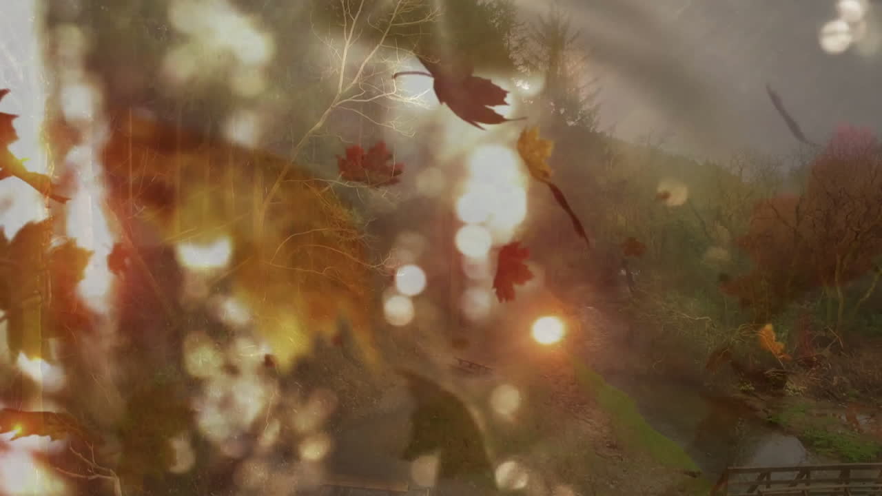 Falling autumn leaves creating animation effect over sunlit forest landscape